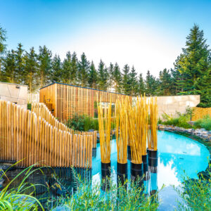 Snový wellness pobyt  NE - ČT